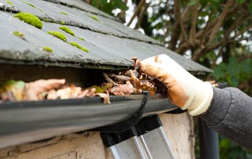 gutter cleaning Parkway