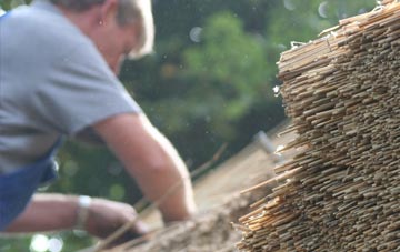 professional Parkway thatchers