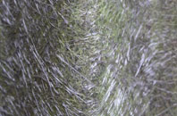 Parkway fibreglass roof work